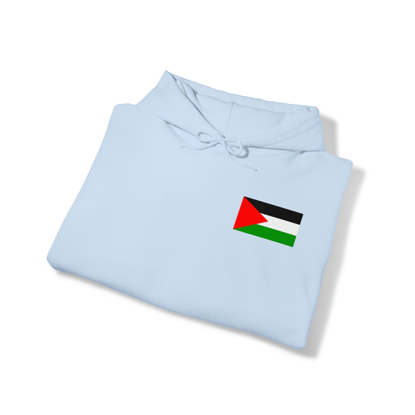 Palestine Hoodie