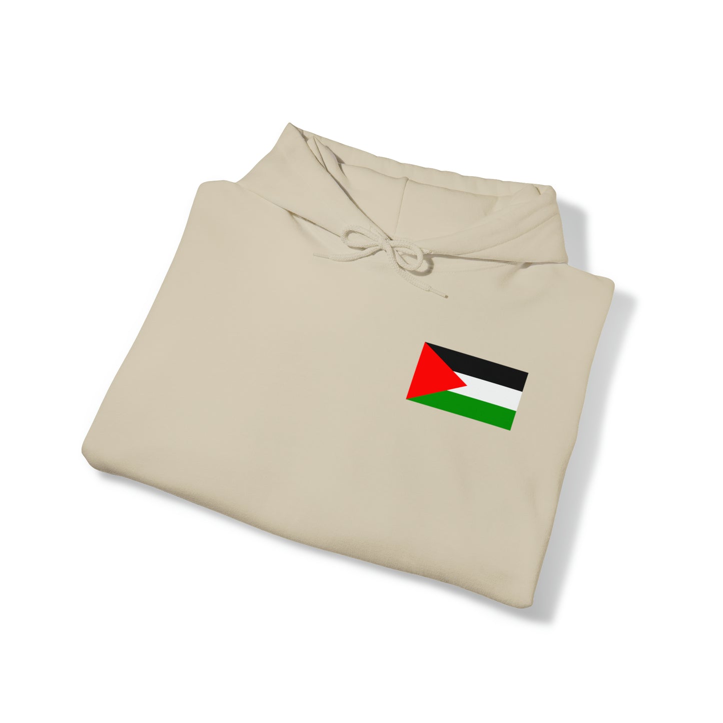 Palestine Hoodie