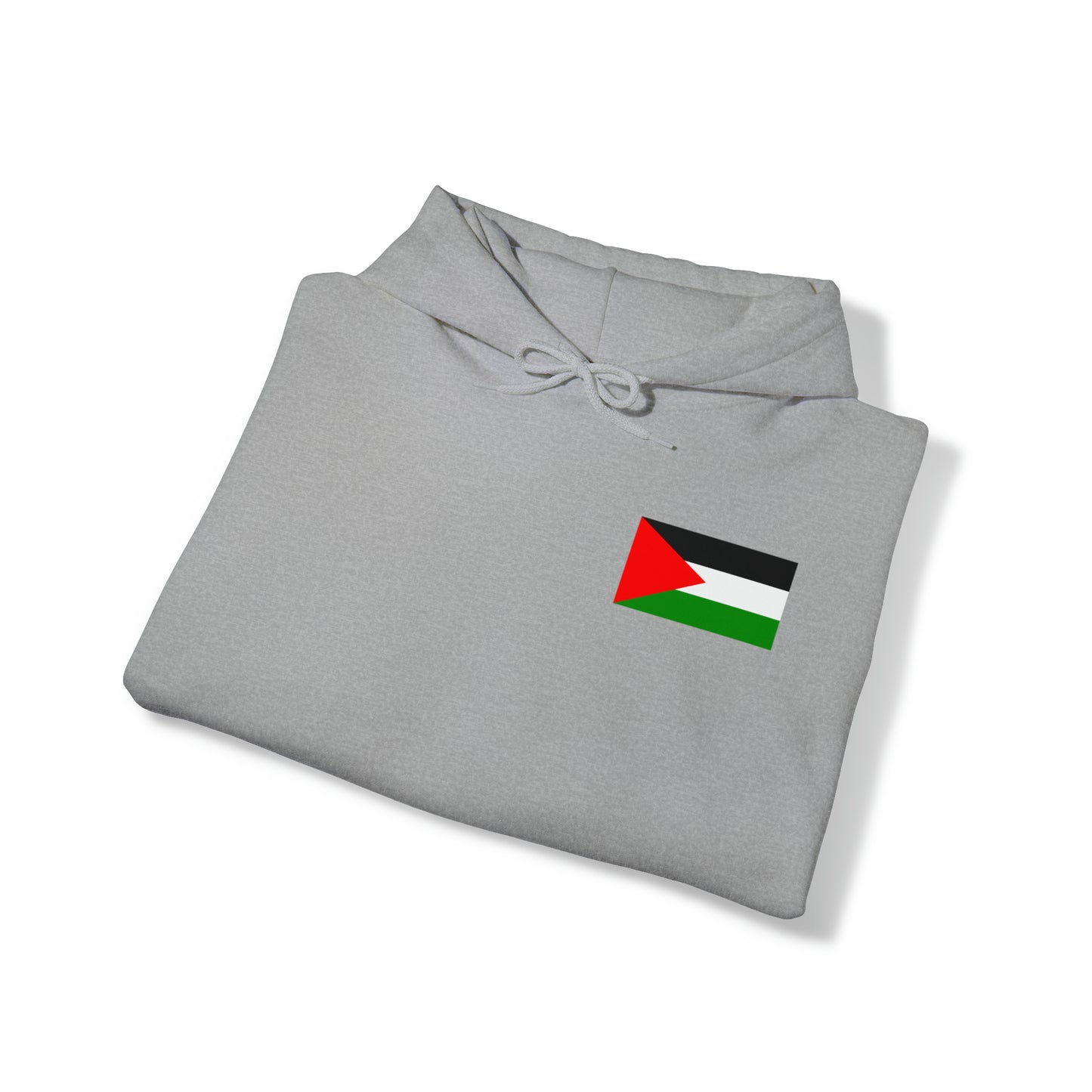 Palestine Hoodie