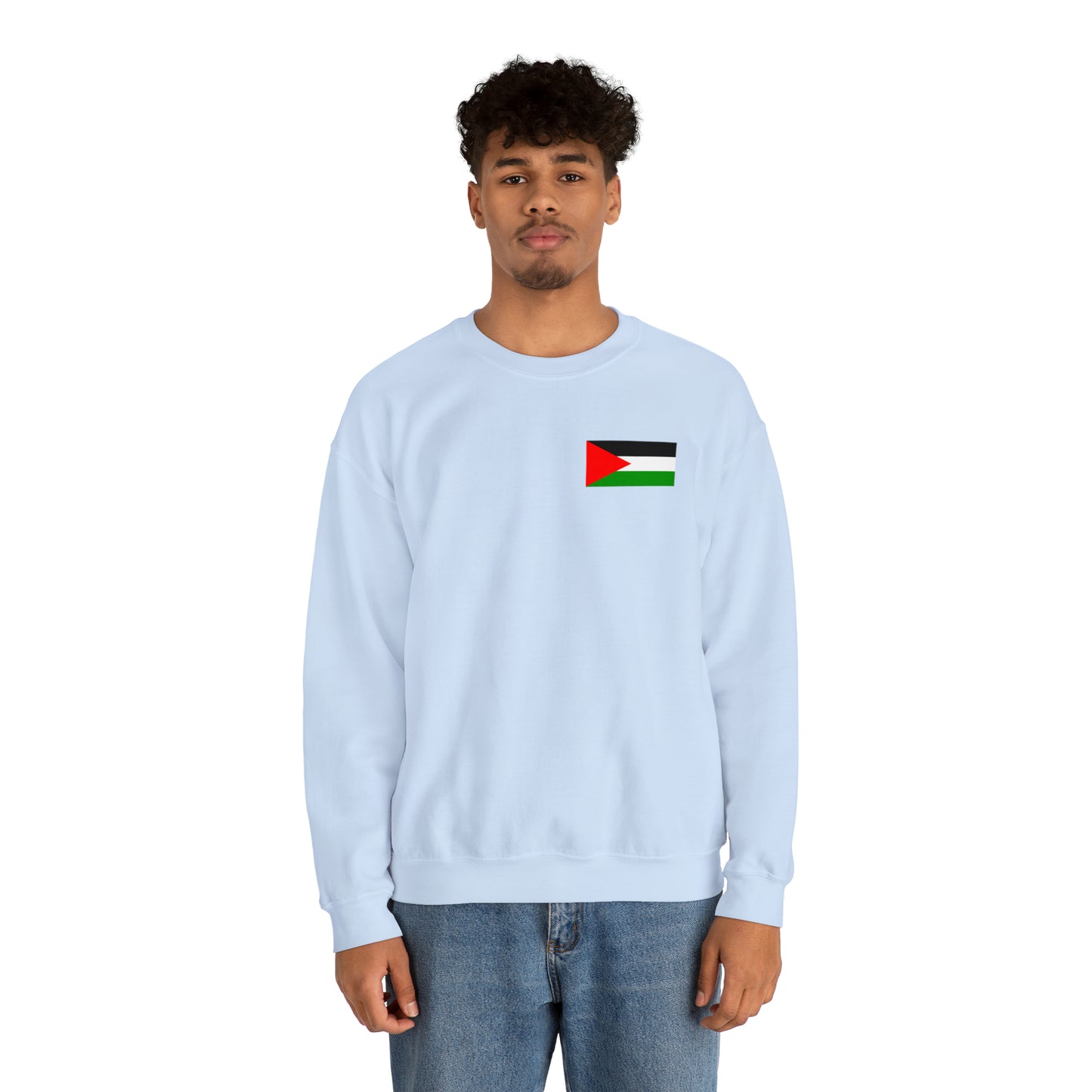 Palestine Crewneck with Flag